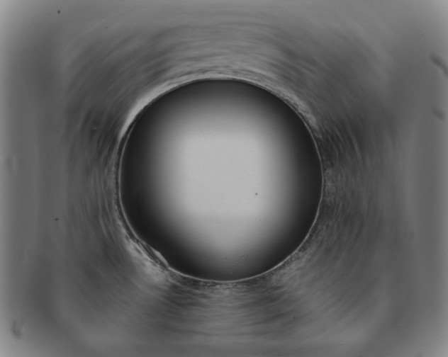 X0000091201530200708231519