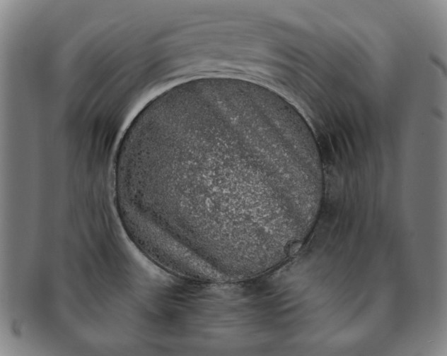 X0000091201531200708231519