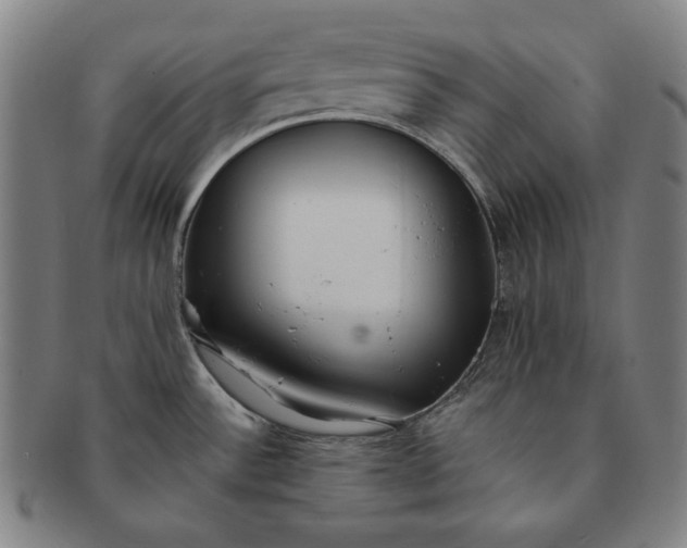 X0000091201532200708231519