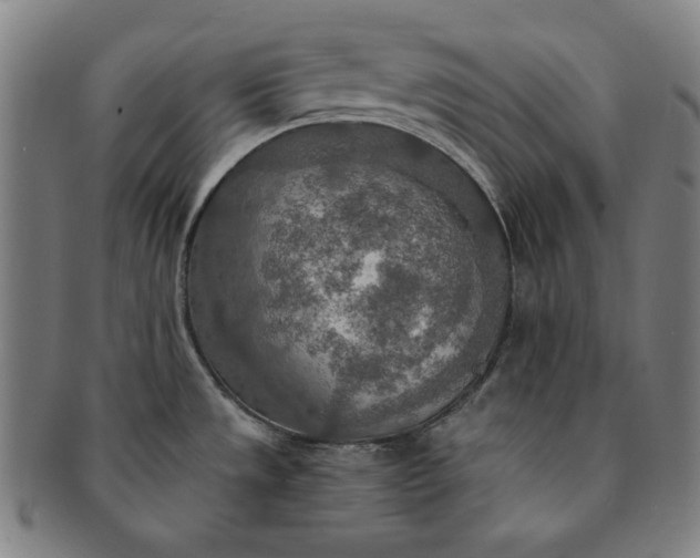 X0000091201533200708231519