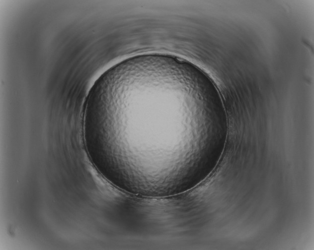 X0000091201534200708231519