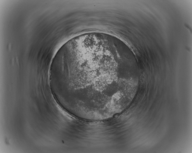 X0000091201535200708231519