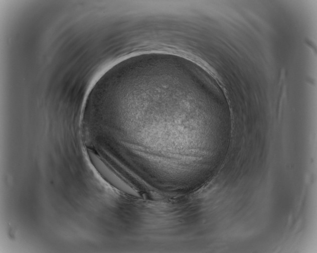 X0000091201536200708231519