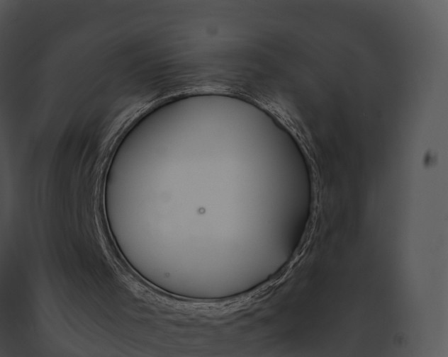 X0000091200001200708301610