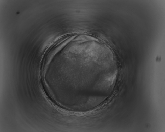 X0000091200002200708301610