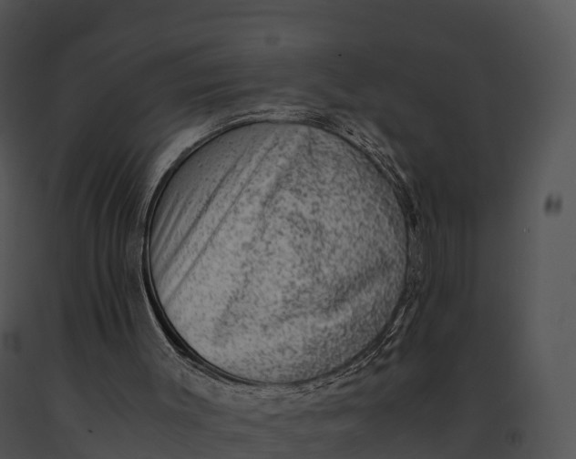 X0000091200003200708301610