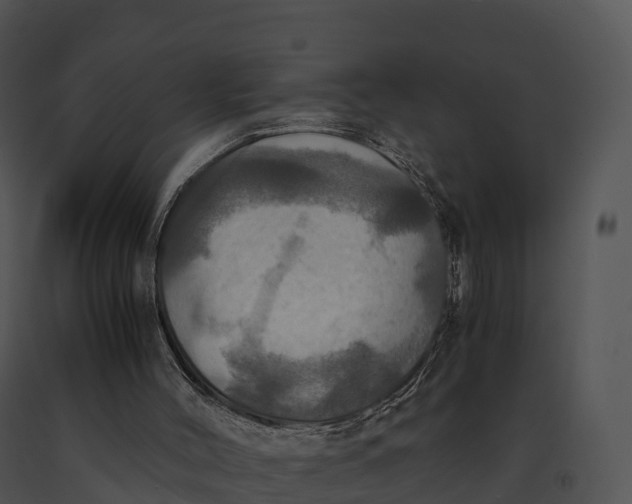 X0000091200004200708301610