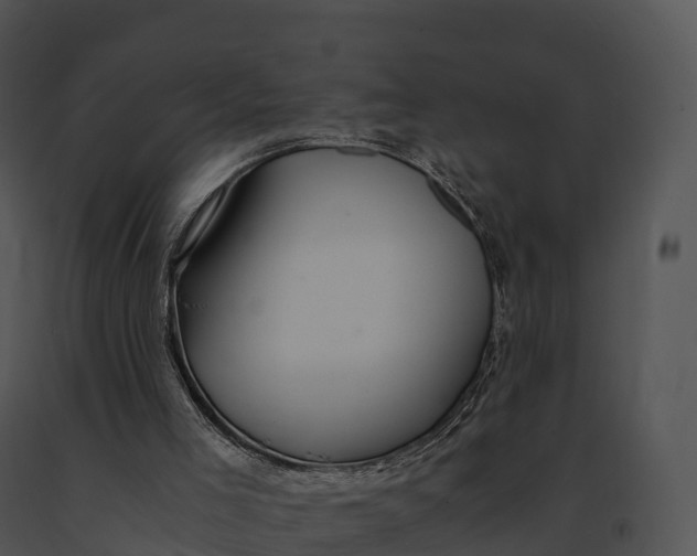 X0000091200005200708301610