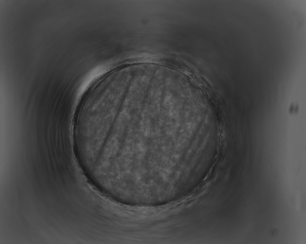 X0000091200006200708301610