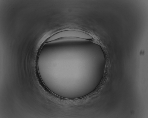 X0000091200007200708301610