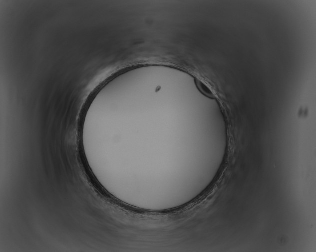 X0000091200008200708301610