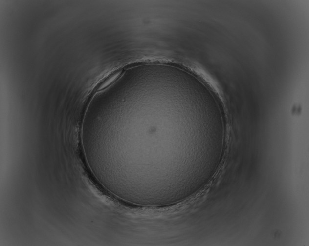 X0000091200009200708301610