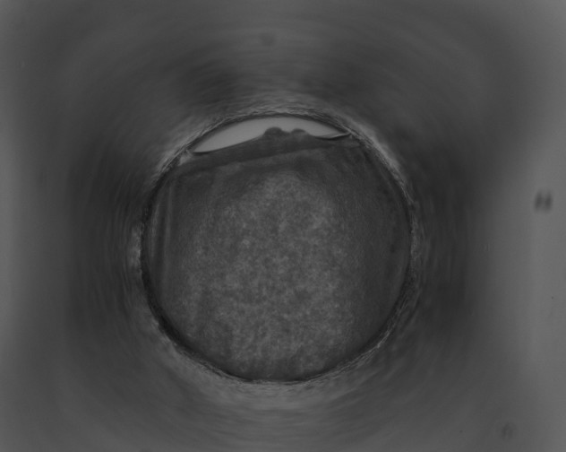 X0000091200010200708301610