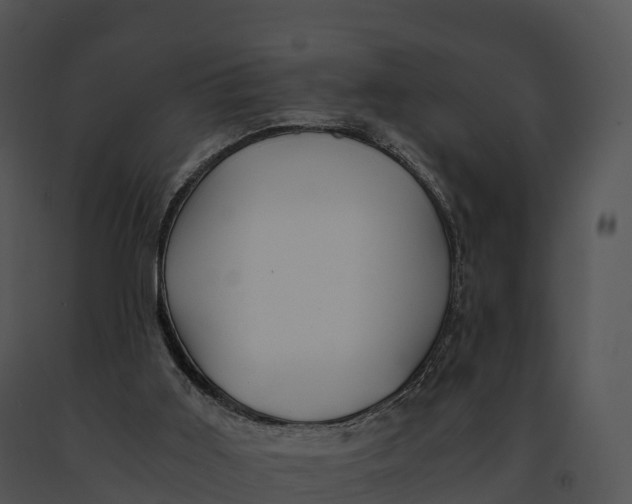 X0000091200011200708301610