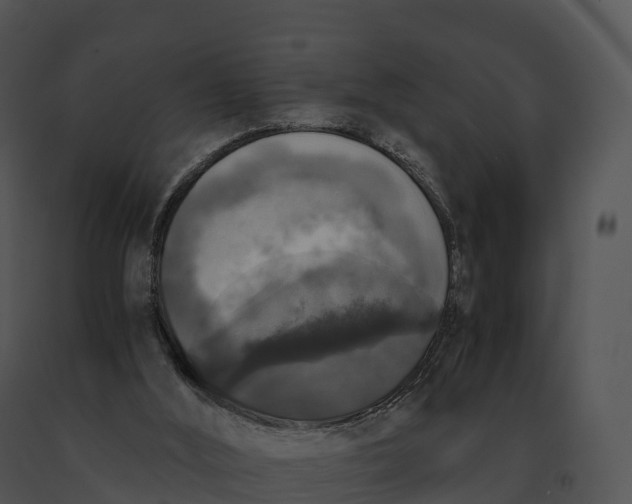 X0000091200012200708301610