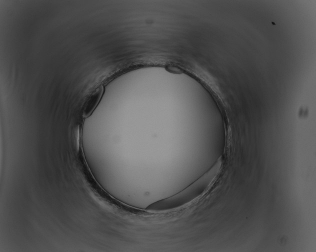 X0000091200013200708301610