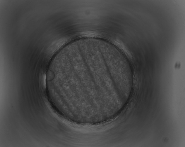 X0000091200014200708301610