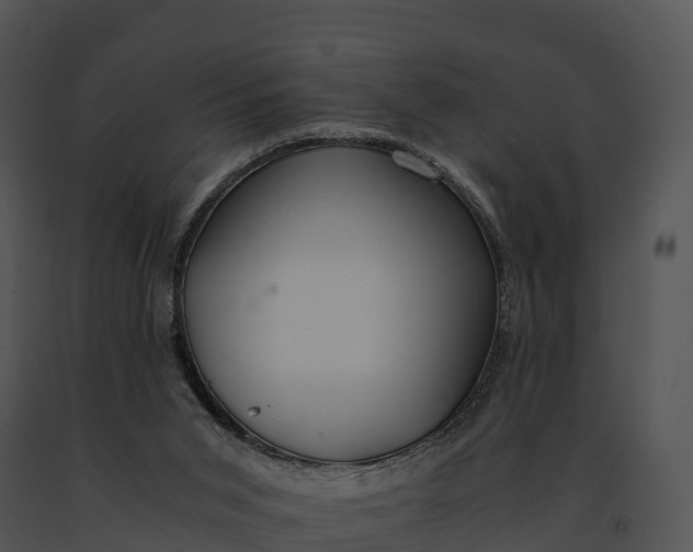 X0000091200015200708301610