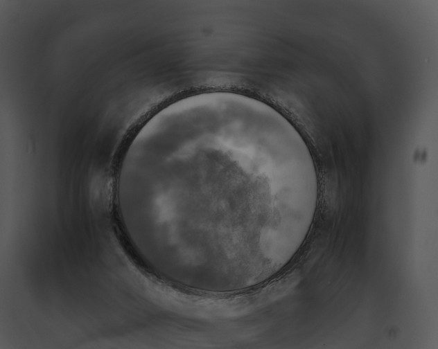 X0000091200016200708301610