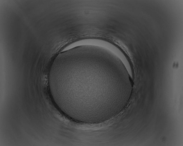 X0000091200017200708301610