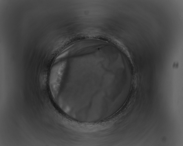 X0000091200018200708301610