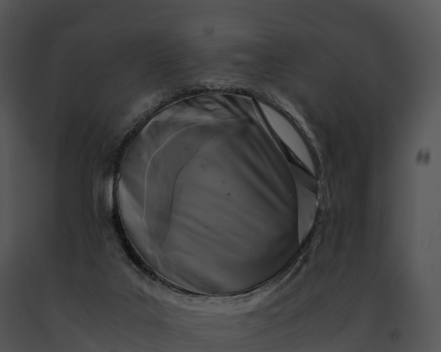 X0000091200019200708301610