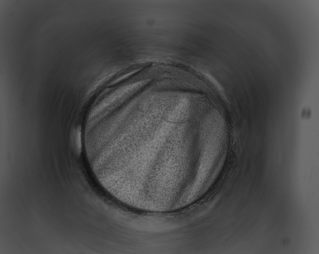X0000091200020200708301610