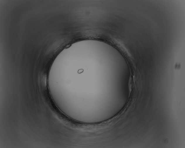 X0000091200021200708301610