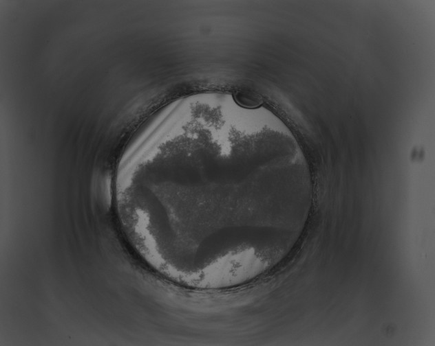 X0000091200022200708301610