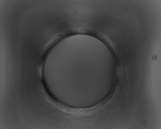 X0000091200023200708301610