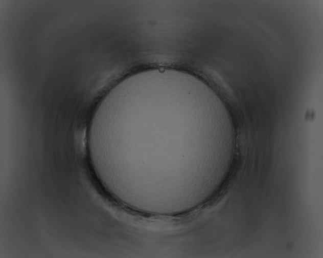 X0000091200024200708301609