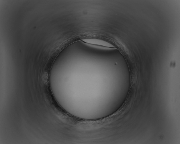 X0000091200025200708301609