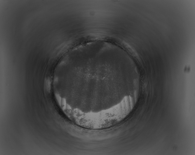 X0000091200026200708301609