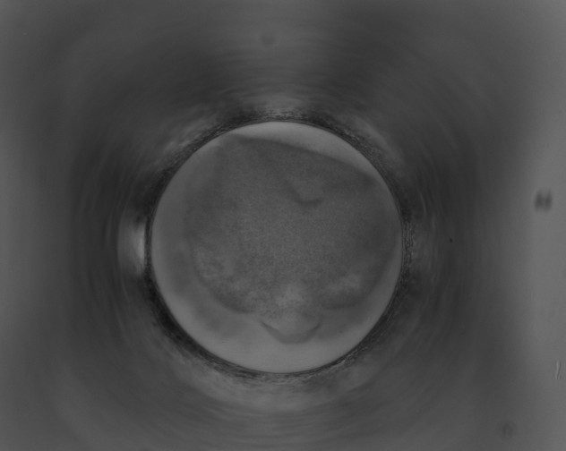 X0000091200028200708301609