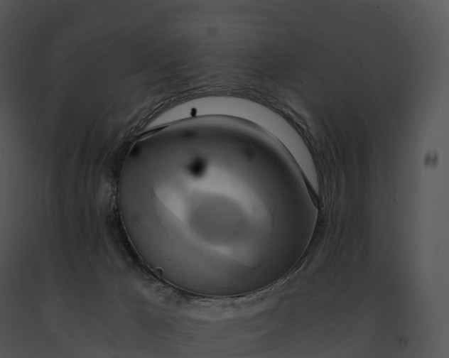 X0000091200029200708301609