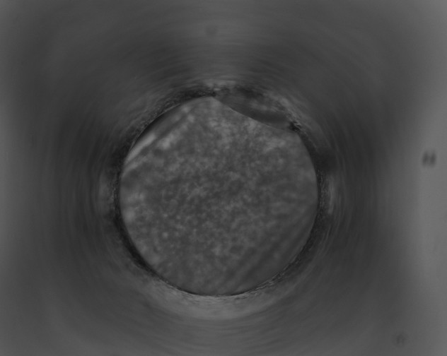 X0000091200030200708301609
