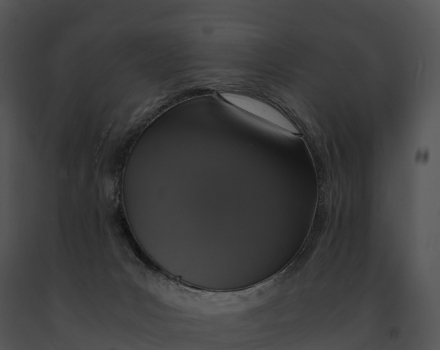 X0000091200031200708301609