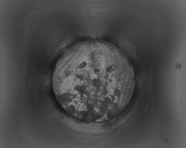 X0000091200032200708301609
