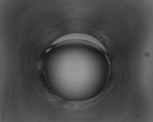 X0000091200033200708301609