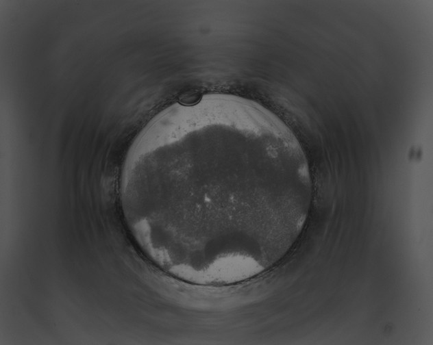 X0000091200034200708301609