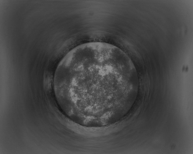 X0000091200038200708301609