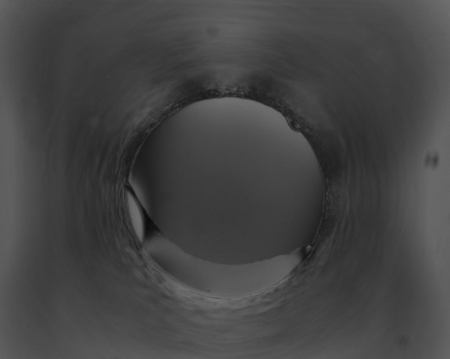 X0000091200039200708301609
