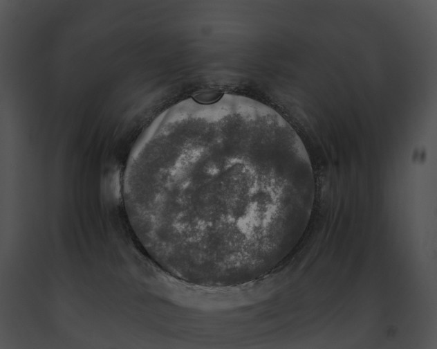 X0000091200042200708301609