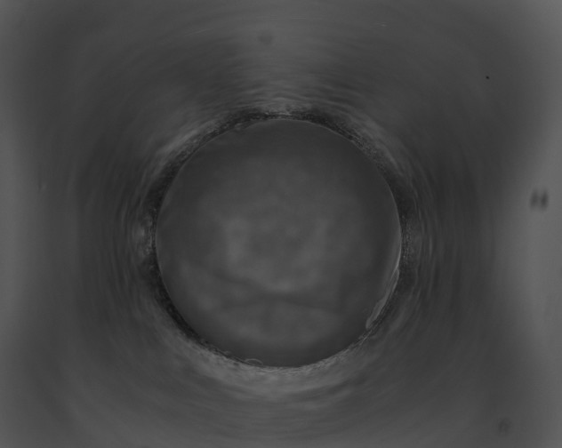 X0000091200043200708301609