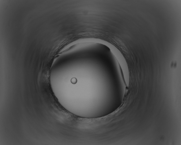 X0000091200045200708301609