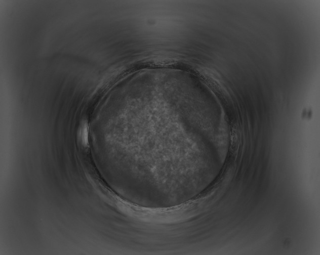 X0000091200046200708301609