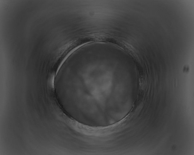 X0000091200047200708301609