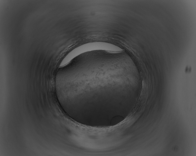 X0000091200048200708301609