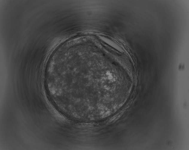 X0000091200049200708301608