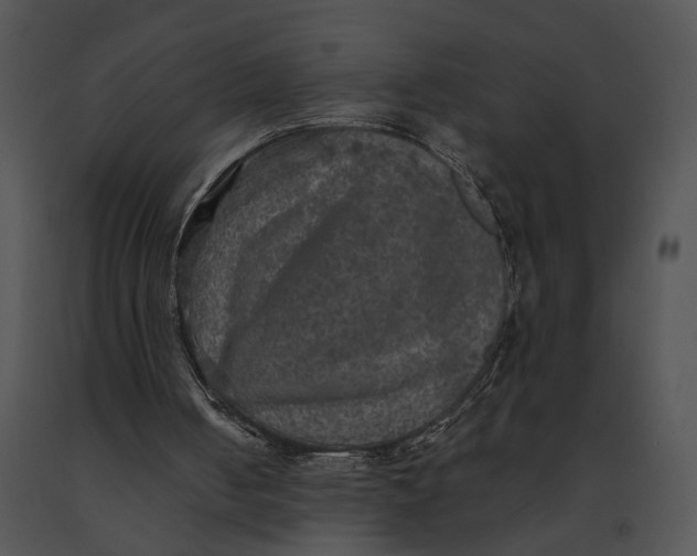 X0000091200050200708301608